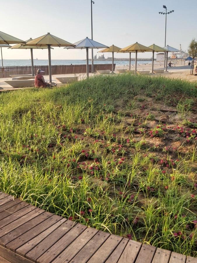 Studio By The Sea Ashdod Exterior photo